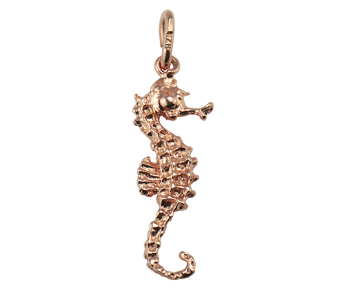 Hippocampus